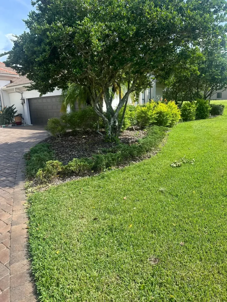 Tampa Tampa Landscaping Services